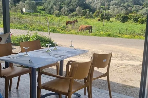 restaurant picture