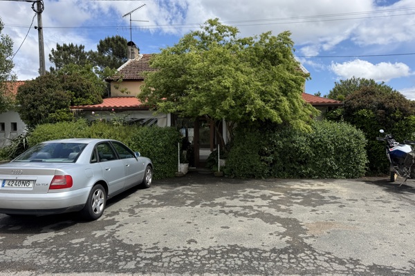 restaurant picture