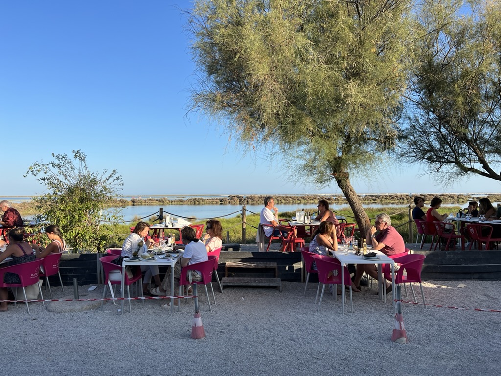 Destaque do mês Os Fialhos